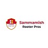 Sammamish Plumbing, Drain and Rooter Pros